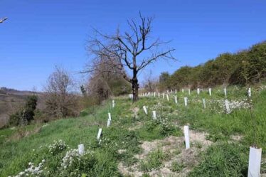 Biodiversità Pavia