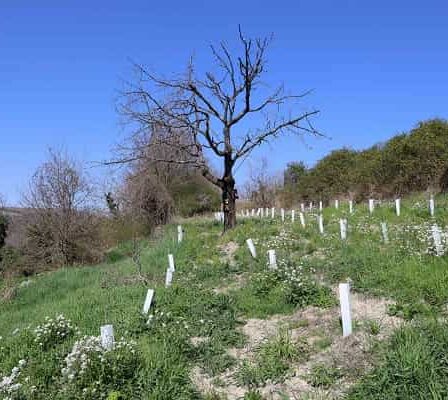 Biodiversità Pavia