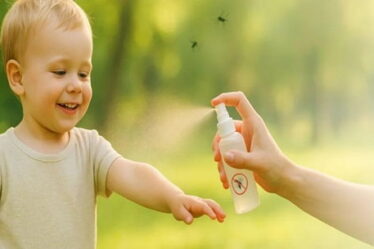 Zanzare e bambini