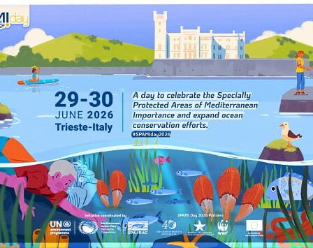 SPAMI Day Trieste