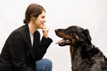 benessere cane anziano