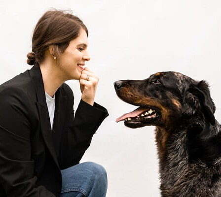 benessere cane anziano