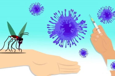 Virus e prevenzione