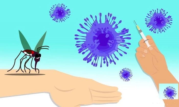 Virus e prevenzione