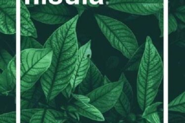 Skincare inclusiva